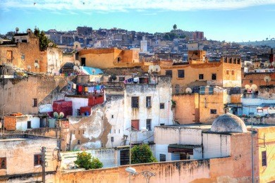 in the famous district of the tanners in the kingdom city in fes in morocco, africa, hides will be groomed, tanned and colored and finished to leather