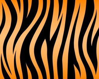 tiger texture abstract background orange black. vector jungle stripe africa safari repeated seamless 