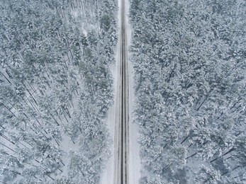winter season aerial top down view over the snowy pine tree forest with a road going through it.
