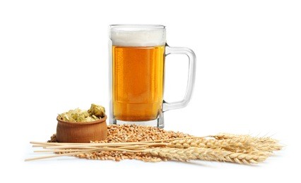 glass of beer with hops and barley isolated on white