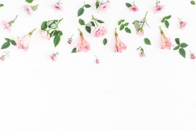 flowers composition. border made of pink flowers on white background. flat lay, top view.