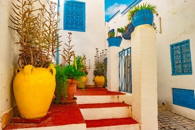 sidi bou said, famouse village with traditional tunisian architecture. white walls with flower pots and blue windows.