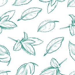eco peppermint tea, fresh mint leaves, menthol seamless vector background with outline organic mint leaf
