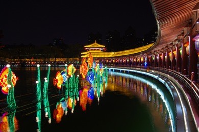 reflection of the tang paradise center at night, xi'an, china.xi 'an datang furong garden lanterns
