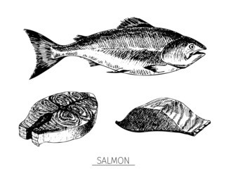 vector hand drawn set of seafood icons. isolated salmon. engraved art. delicious marine food menu sketched objects. use for restaurant, meal, market, store, menu, party decoration, other design