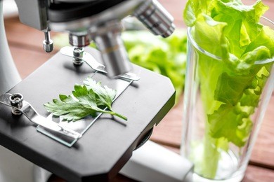 concept healthy food inspection herbs in laboratory