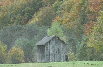 the wooden house in the woods on a background of trees. moss on the wall