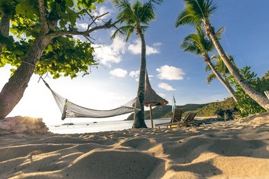 fiji beach - fiji islands - palm trees