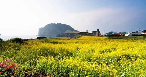 songsan ilchulbong in jeju island , south korea