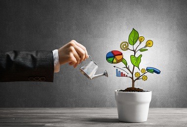 hand of businesswoman watering concept of business plan and strategy