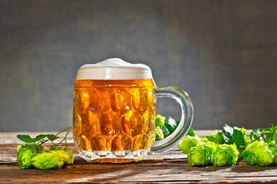 still life with hop cones and raw material for beer production