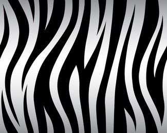 stripe animals jungle bengal tiger fur texture pattern seamless repeating white black