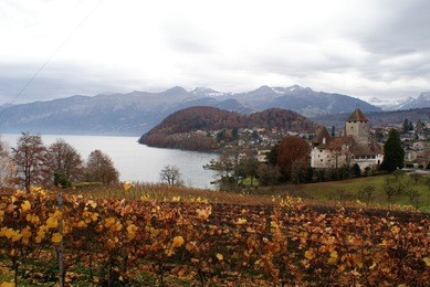 spiez