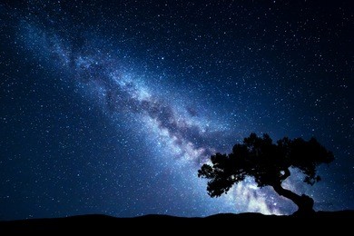 tree against milky way. night landscape. night colorful scenery. starry sky in summer. beautiful universe. space background with galaxy and old tree. blue milky way. travel