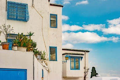 sidi bou said, famouse village with traditional tunisian architecture. white walls with flower pots and blue windows.