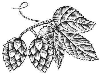 hops icon with leaves vintage engraved vector illustration (hand drawn style)
