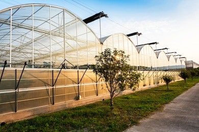 glass greenhouse planting vegetable greenhouses