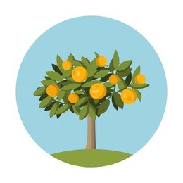 orange fruit  tree in flat style.design element for the websites gardening, shops of fruit and for an packing of oranges and juice