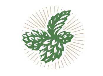 hop - vector illustration, design on white background.