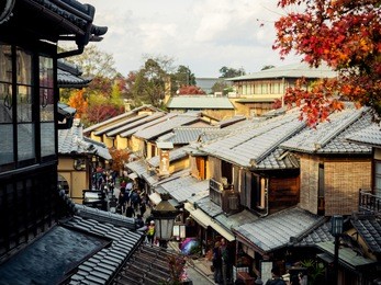 sunshine on roof of old japanese style town with soft focus (foreground) tree at yasaka shrine kyoto japan