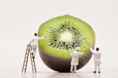 painters coloring kiwi. macro photo.