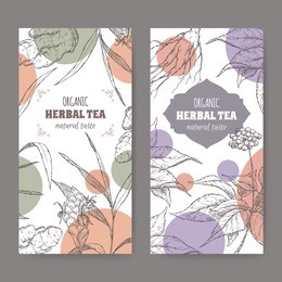 set of two vector herbal tea labels with ginger and ginseng hand drawn sketch.