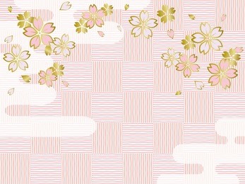 cherry blossom flower background.