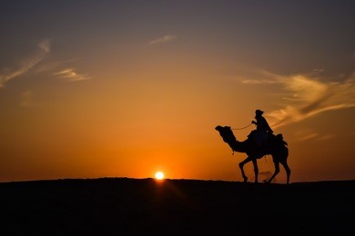 rider with his camel returning to home in the evening.