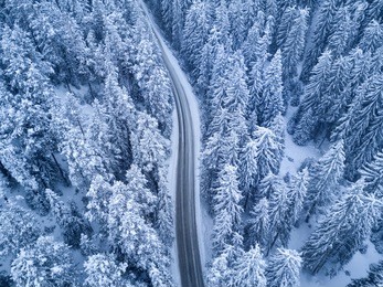 top view of winter forest and road at night