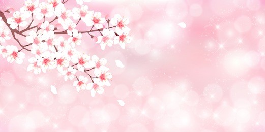 cherry spring flower background