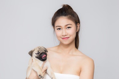 asian beautiful women smiling with her dog,pug breed