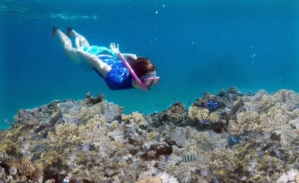 young woman snorkeling underwater over a coral reef in a tropical resort on vanua levu island, fiji. real people copy space