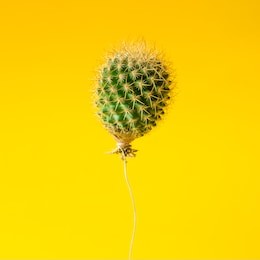 cactus balloon on bright yellow background. creative minimal concept.