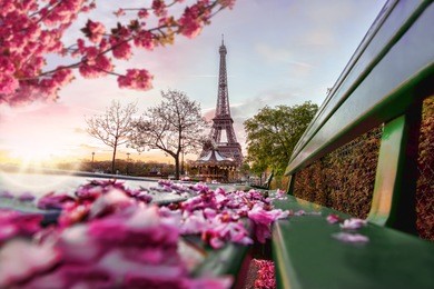 eiffel tower during spring time in paris, france