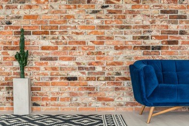 blue sofa, rug and cactus standing on brick wall background