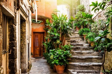 old stone stairs decorated with green plants, vernazza, cinque terre, italy.