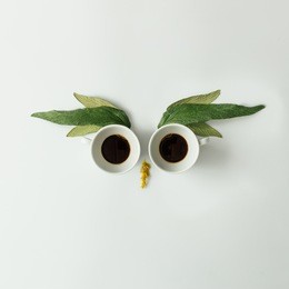 owl face made of coffee cups and leaves. flat lay. coffee concept.
