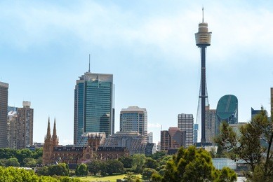 sydney cityscape with st marys cathedral and sydney tower on sunny day