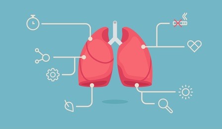 lungs infographic vector illustration
