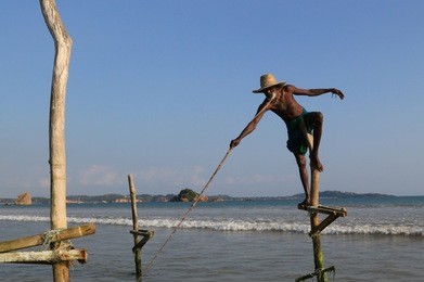 traditional fisherman is fishing near galle in sri lanka. 