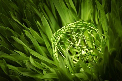 close-up of a green wire orb in green grass