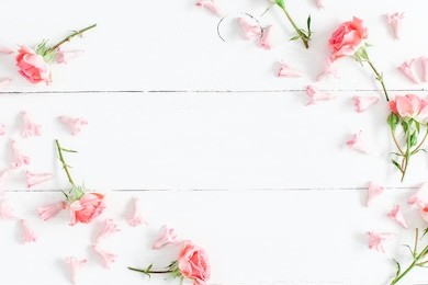 flowers composition. pink flowers on white wooden background. valentine's day. flat lay, top view