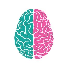 colored left and right sides of the human brain illustration 