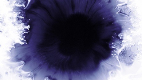 beautiful watercolor ink drops on white paper, paint bleed bloom, with black circle organic flow expanding, splatter spreading on clear background. perfect for motion graphics, digital composition