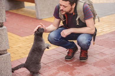 man walking with a cat in the city in the bright day, mild toning