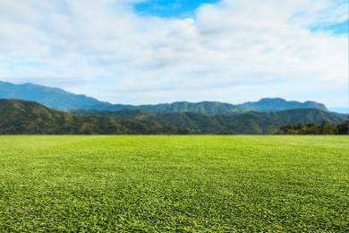 green lawn sky and mountain background