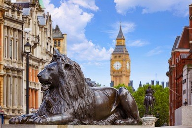 london trafalgar square lion in uk england