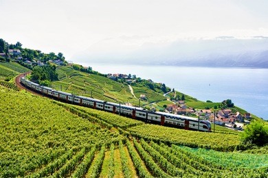 running train at lavaux vineyard terraces hiking trail near lake geneva and swiss alps, lavaux-oron district, switzerland