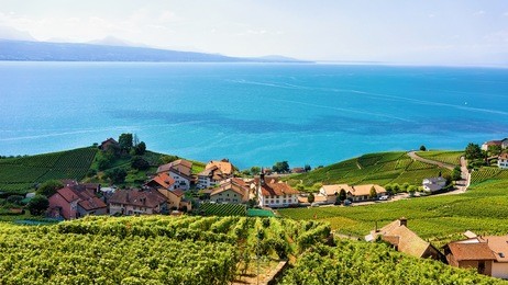 swiss chalets at lavaux vineyard terraces hiking trail, lake geneva and swiss mountains, lavaux-oron district in switzerland