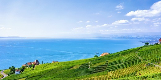 swiss houses at lavaux vineyard terrace hiking trail, lake geneva and swiss mountains, lavaux-oron district of switzerland